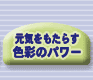 C炷Fʂ̃p[