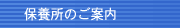 N͂܂